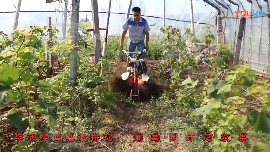三山四驅微耕機葡萄園作業