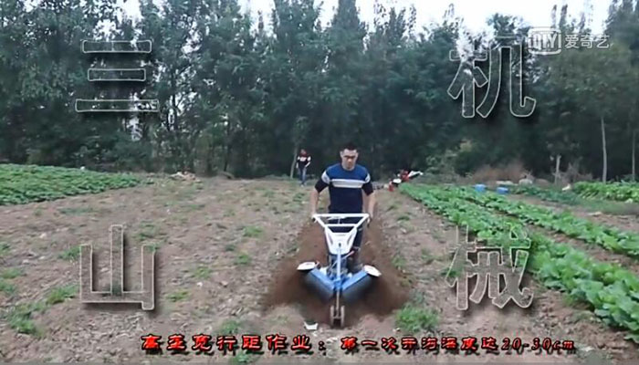 高壟寬行距培土作業