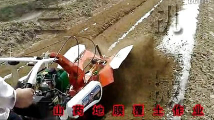 山藥地膜覆土作業 