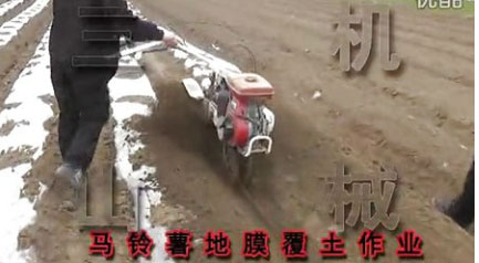 馬鈴薯地膜覆土作業 
