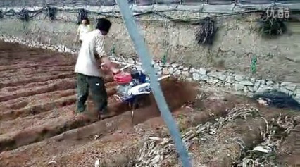 大棚開溝起壟作業