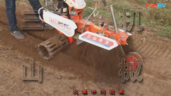 大姜開溝作業效果